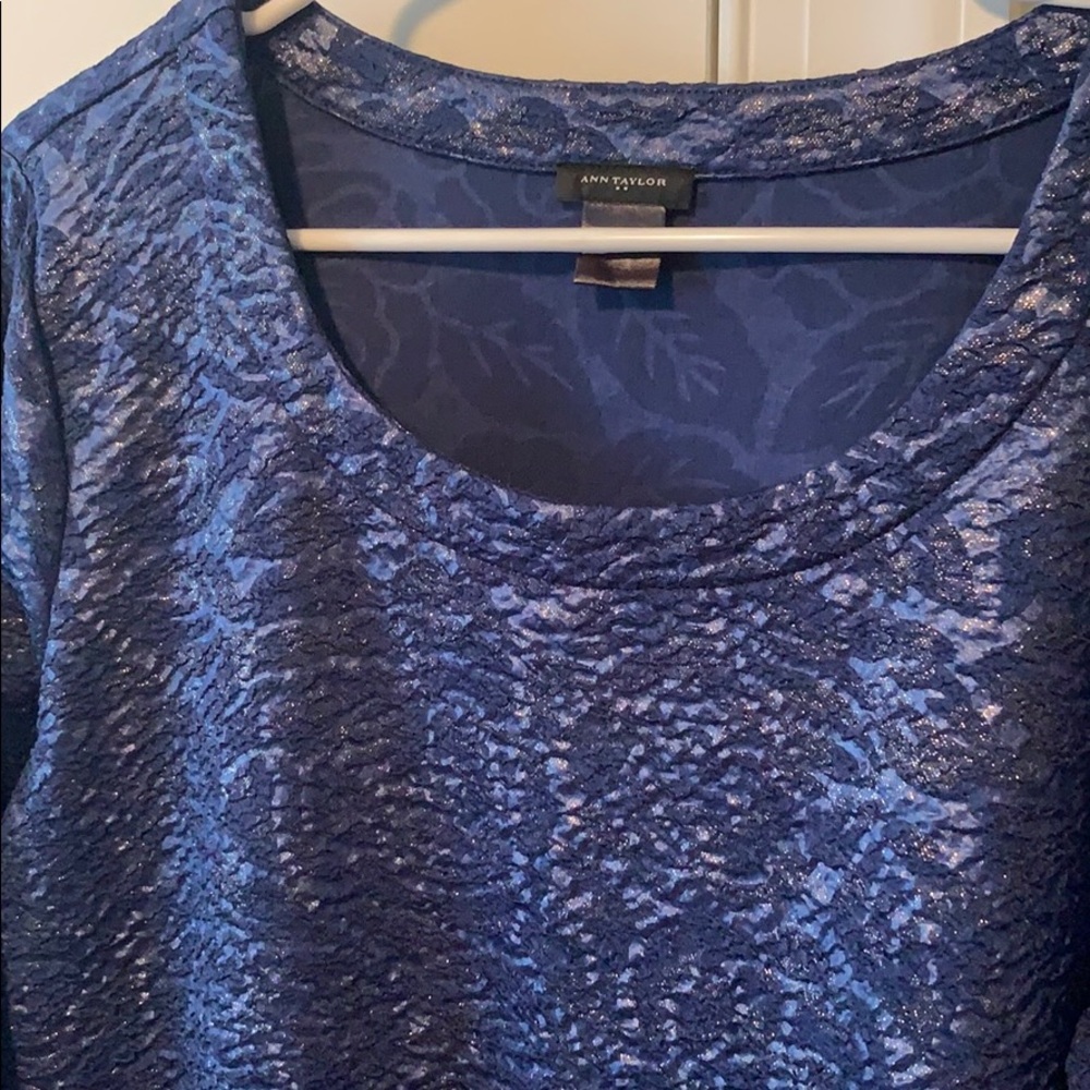 Ann Taylor Factory Shimmer Top
